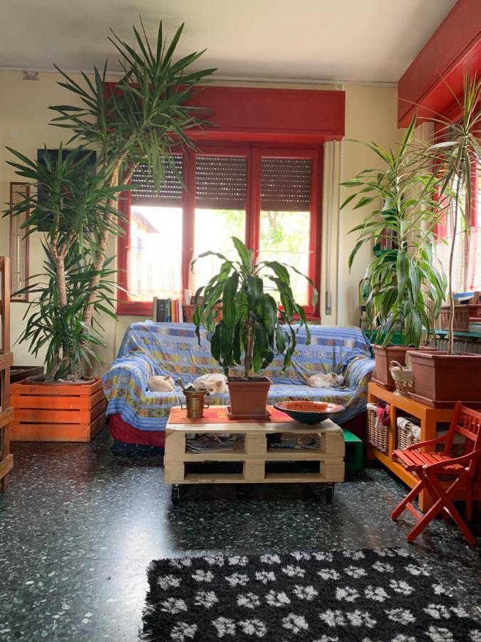 B&B Il Tempo Del Sogno Con Cani E Gatti Pet&Breakfast Baveno Exterior photo