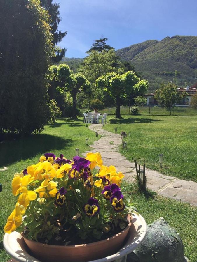B&B Il Tempo Del Sogno Con Cani E Gatti Pet&Breakfast Baveno Exterior photo
